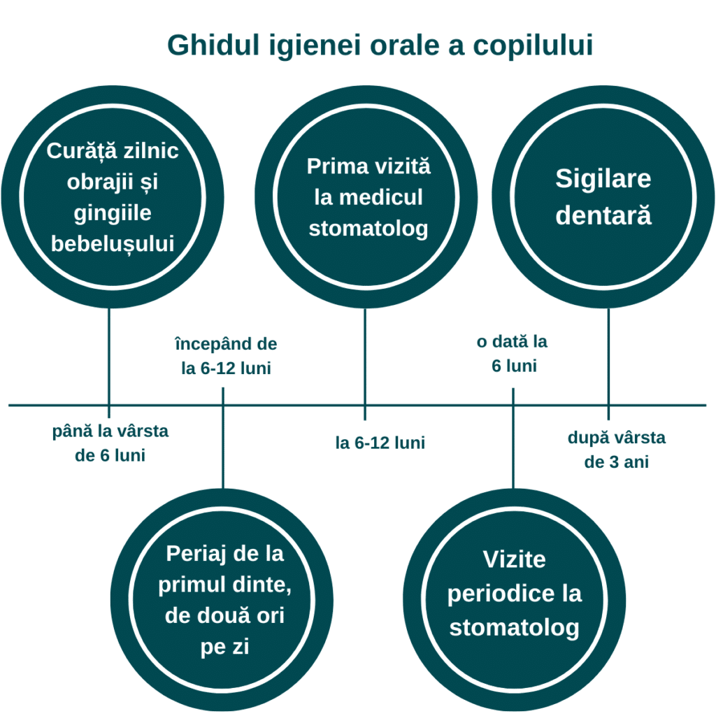 Infografic cu ghidul igienei orale a copilului